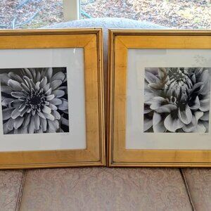 TWO 16 x16 GOLD FRAMED BLACK AND WHITE PHOTOGRAPHIC ART